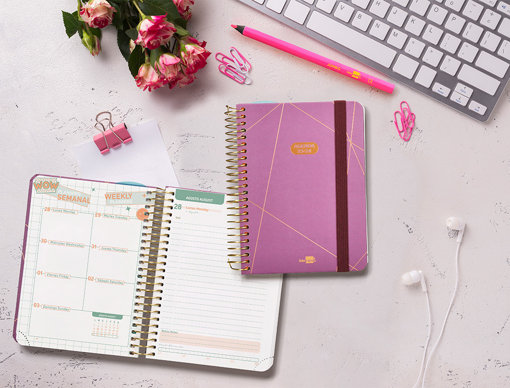AGENDA ESCOLAR LIDERPAPEL CURSO 23-24 COLLEGE CLASSIC LINES MINI BILINGUE DIA PAGINA CARTON FORRADO ESPIRAL