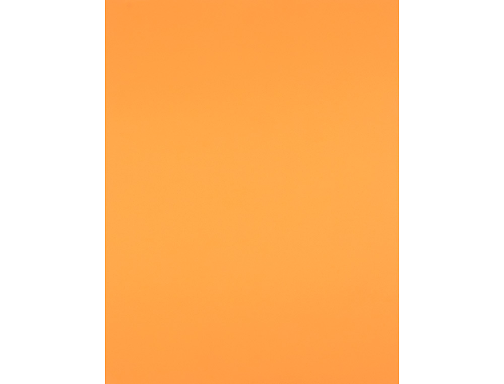 CARTULINA LIDERPAPEL 50X65 CM 240G/M2 NECTARINA PAQUETE DE 25 UNIDADES